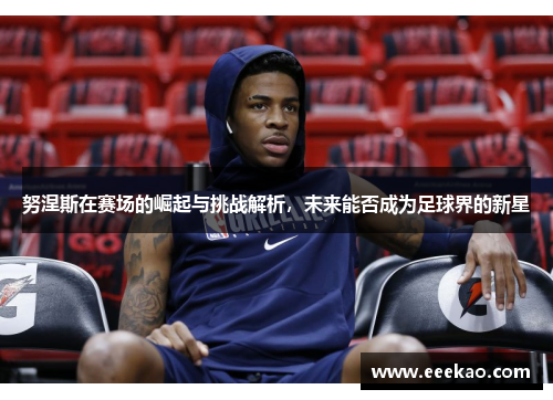 努涅斯在赛场的崛起与挑战解析，未来能否成为足球界的新星