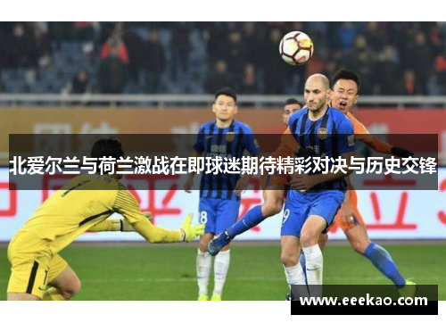 北爱尔兰与荷兰激战在即球迷期待精彩对决与历史交锋