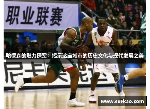 哈德森的魅力探索：揭示这座城市的历史文化与现代发展之美