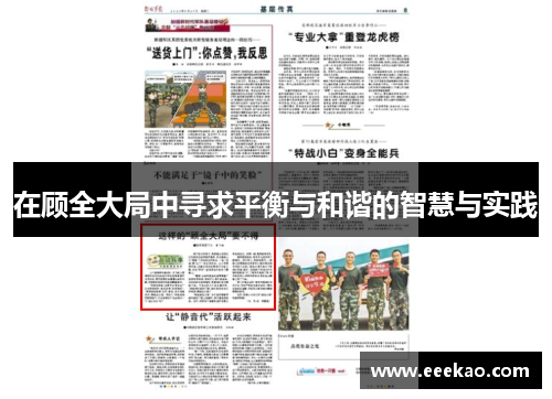 在顾全大局中寻求平衡与和谐的智慧与实践