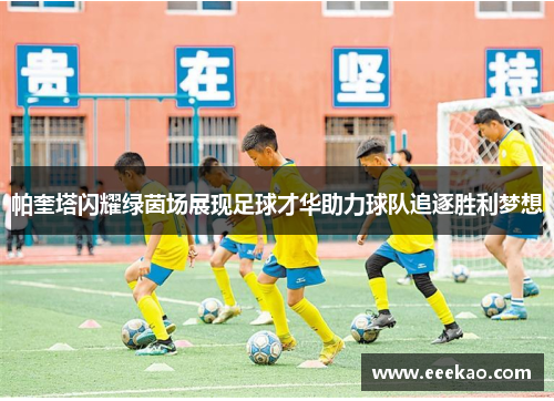 帕奎塔闪耀绿茵场展现足球才华助力球队追逐胜利梦想