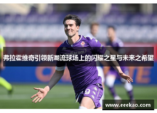 弗拉霍维奇引领新潮流球场上的闪耀之星与未来之希望